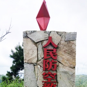 ͬӪսعű飬ھӪ¼